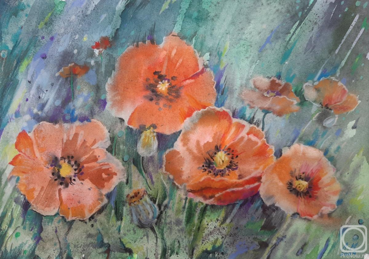 �������. ���������-������� �����. ����