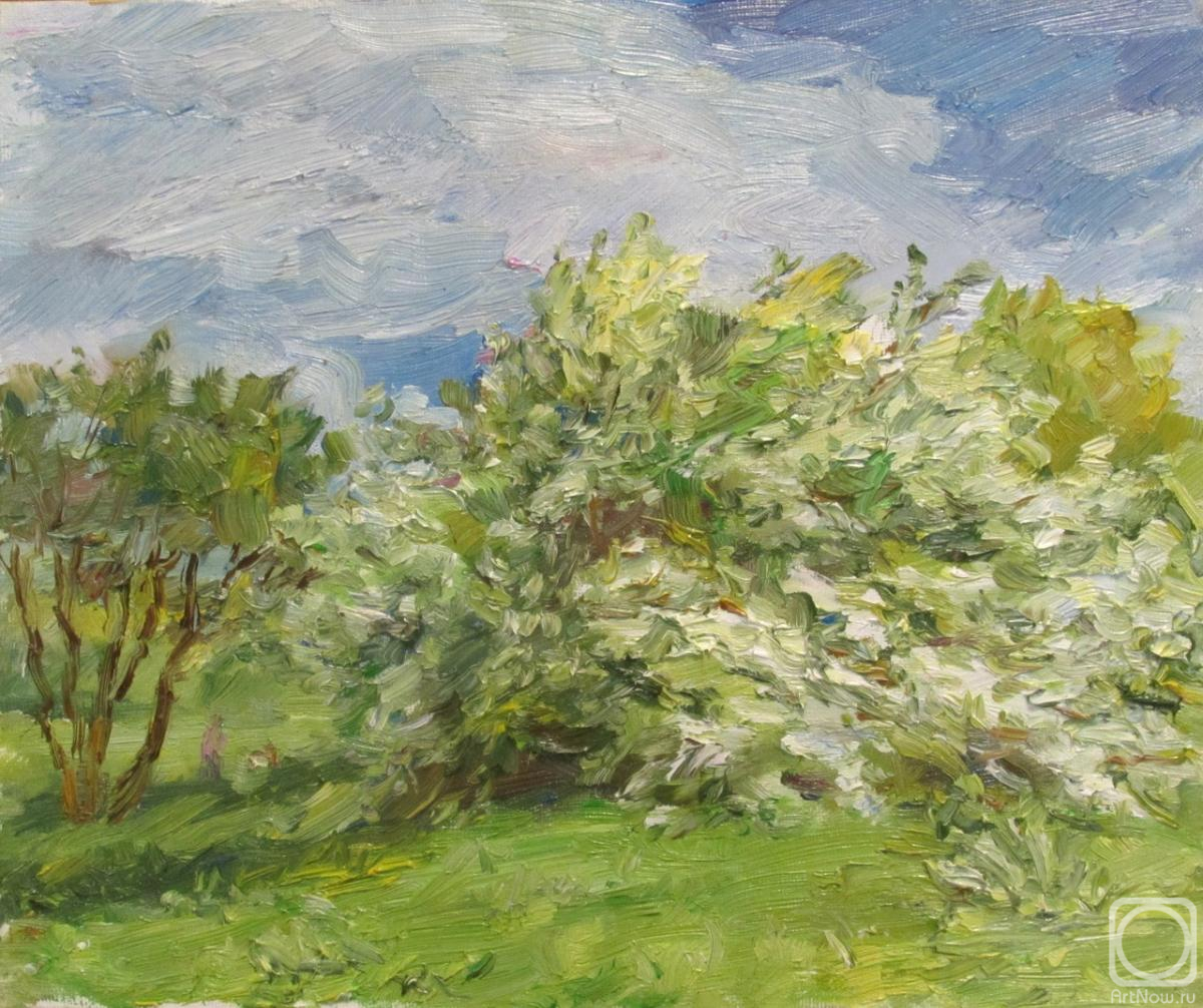 ������� ������ �� ������. �������� ������. ����������� ������