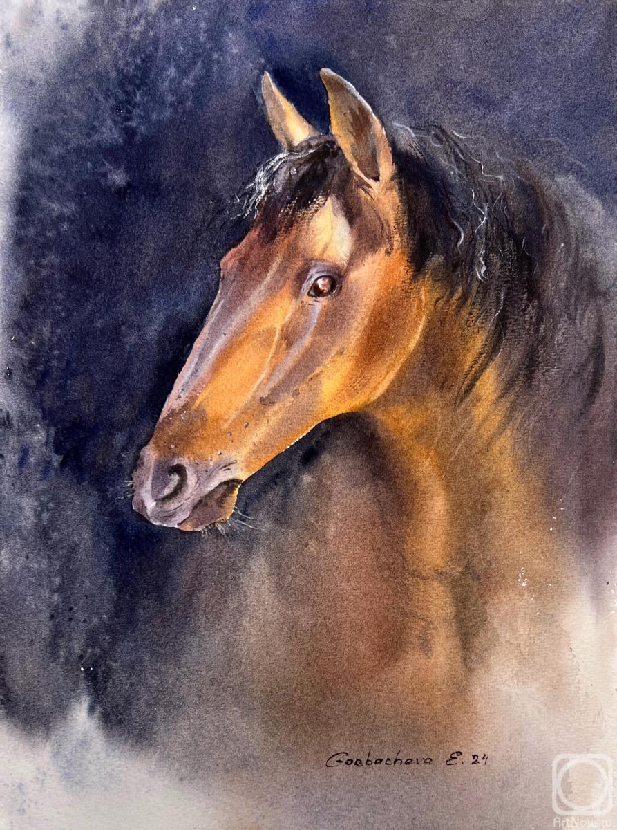 Gorbacheva Evgeniya. Horse portrait #2