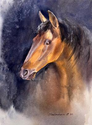 Horse portrait #2 (Horse In Watercolor). Gorbacheva Evgeniya