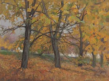 Golden maples in Kolomenskoye (Trees In Autumn). Kozhin Simon