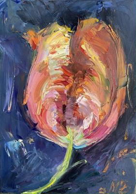 Terry tulip (Buy A Mini). Bogdanova Mariya