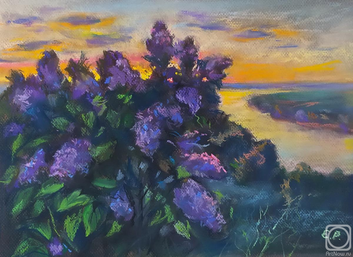 �������. ���� �����. ������ � ����