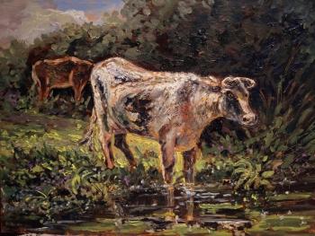 The Cow at the field. Lazarev Dmitry