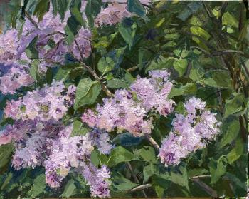 ������. ���������� �����