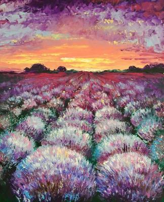 Lavender at sunset. Akinshina Anastasia