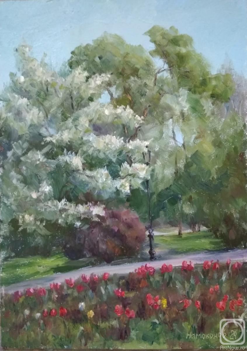 ������� ������ �� ������. ��������� ���������. ������� ���� (����)