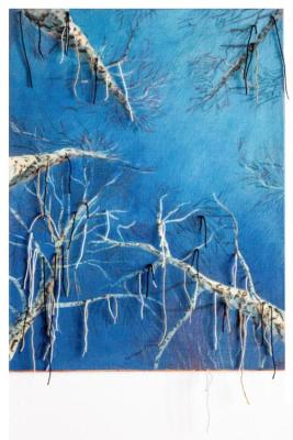 �� �����. �������� ����