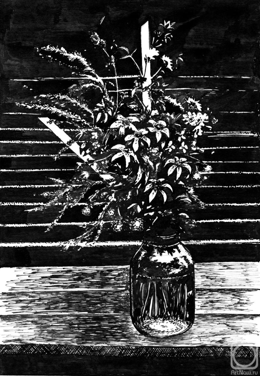 �������. ������� ��������. ׸���-����� �����