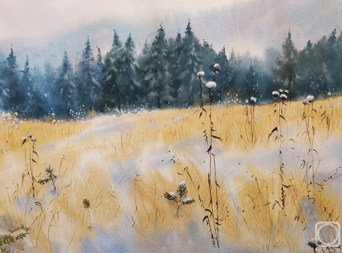 Muzanova Tatyana. Snow fell in the mountains