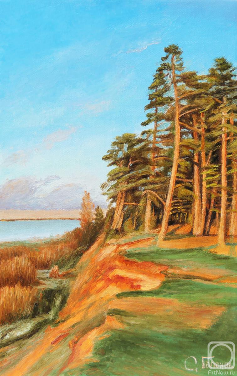 ������� ������ �� ������. ������� ������. �������� ���