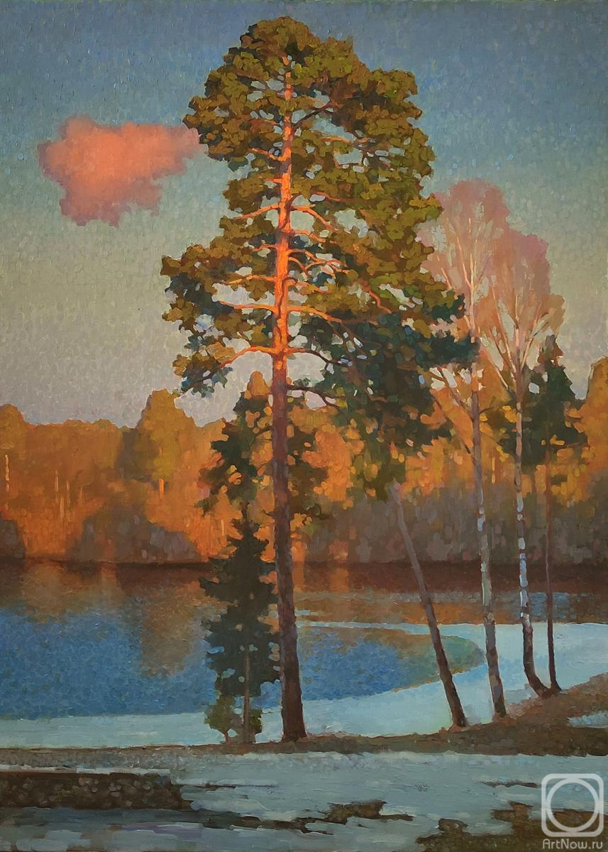 Volkov Sergey. Green mane of pine over river