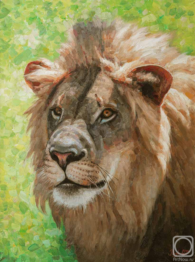 ������� ������ �� ������. �������� �����. ���������� ��������