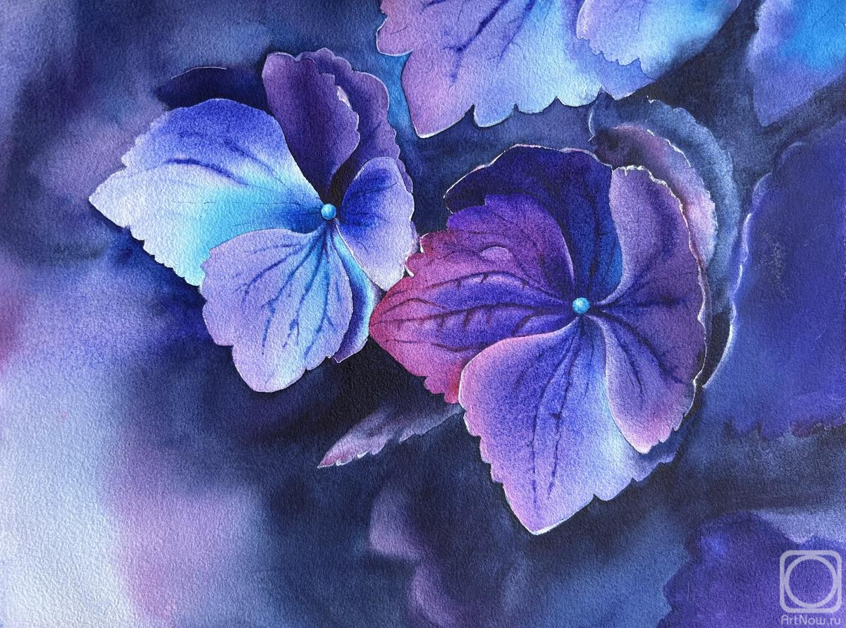 �������. �������� ��������. ���������