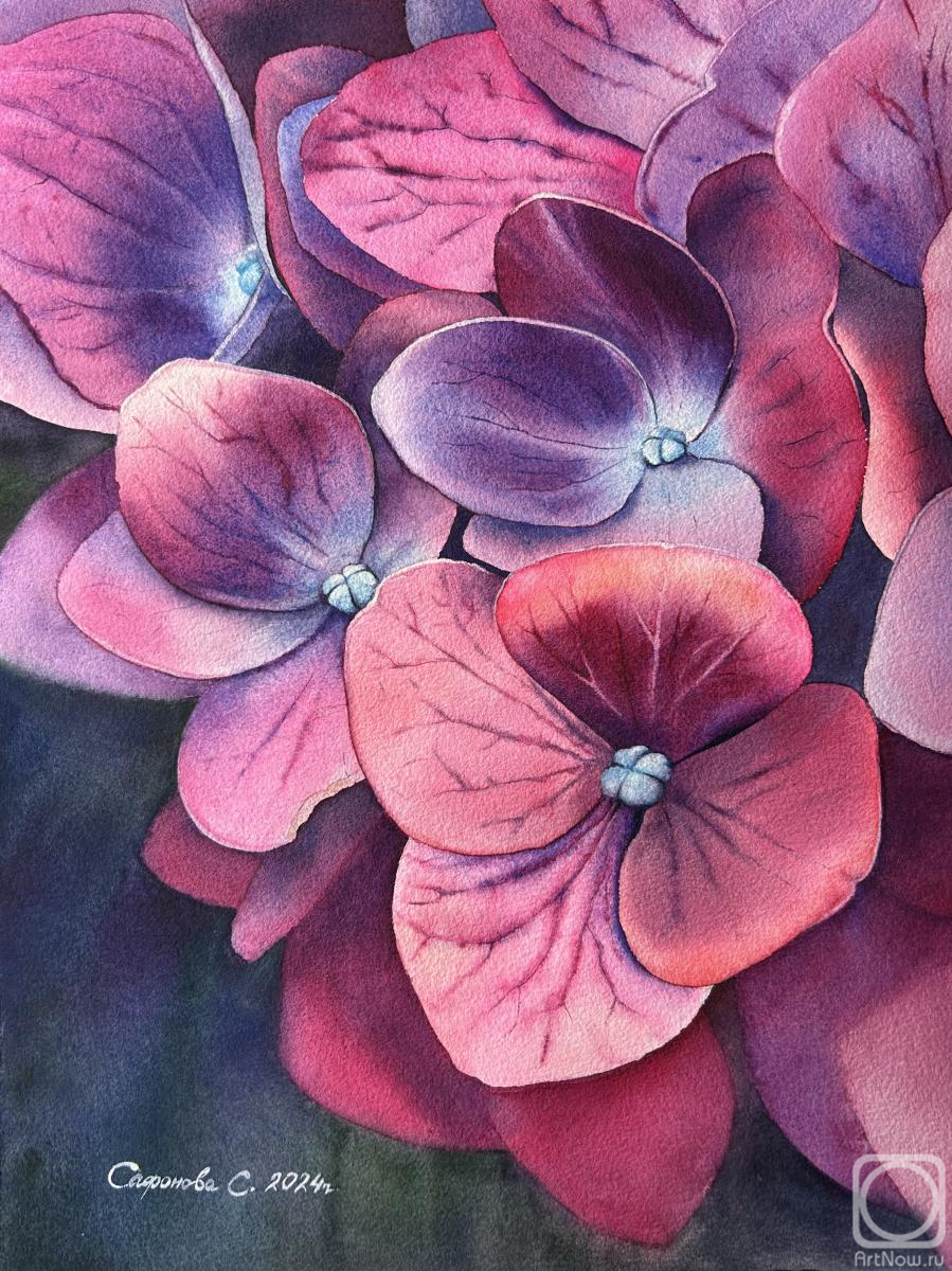 �������. �������� ��������. ���������