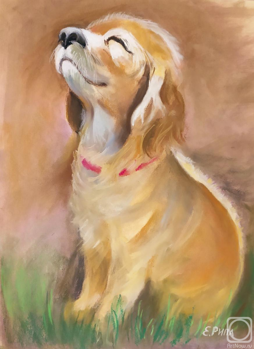 �������. ���� �����. �� ��������