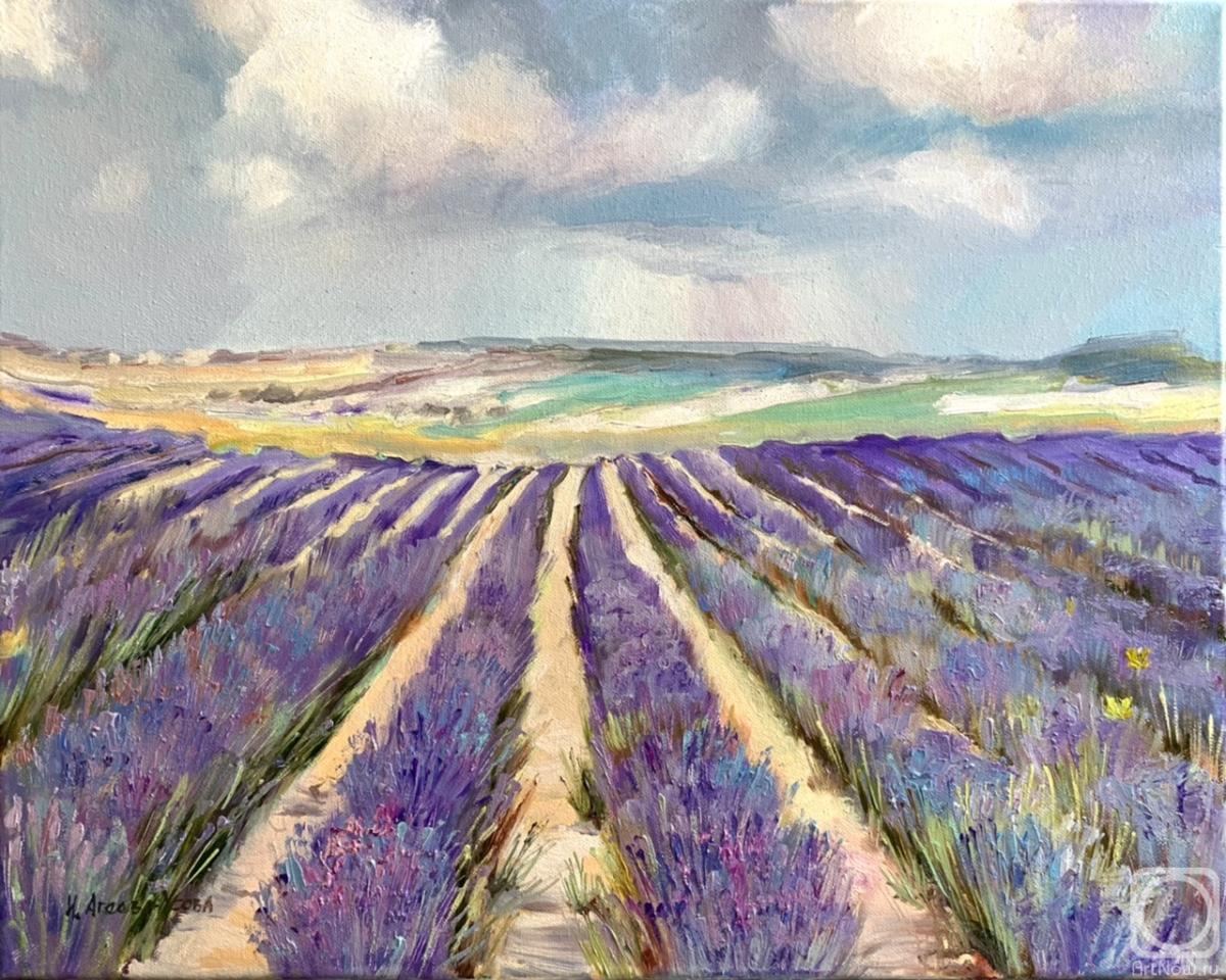 Ageeva-Usova Irina. Crimean lavender