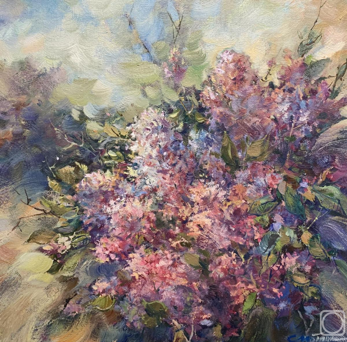 Stoylik liudmila. Lilac 24