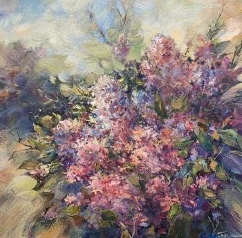 ������ 24