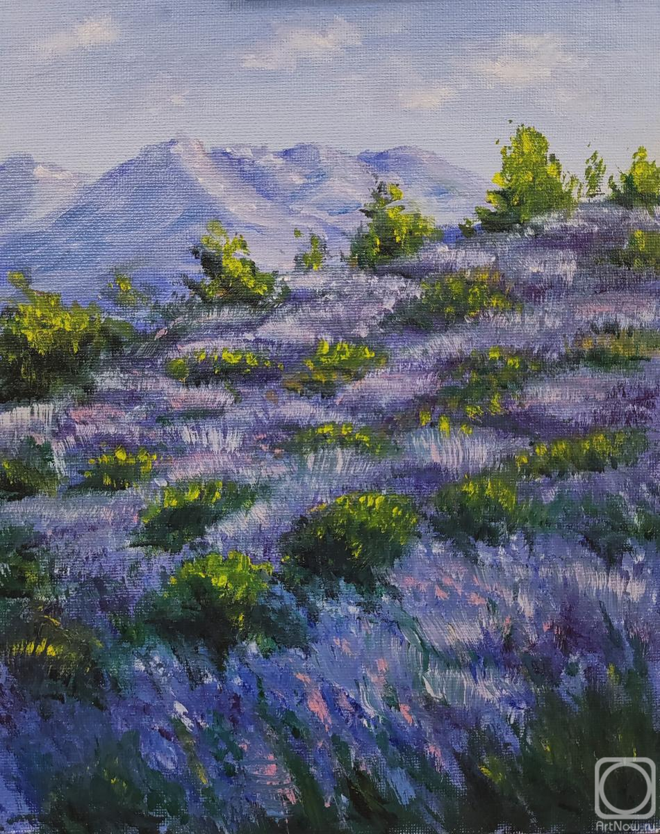 ������� ������ �� ������. �������� ��������. ������ �����