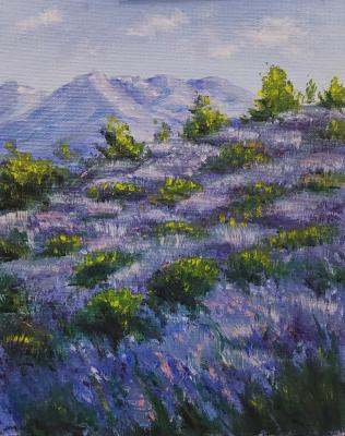 ������� ������� ������