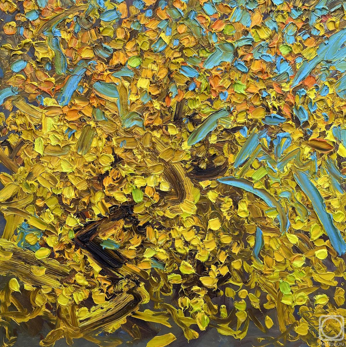 ������� ������ �� ������. ������ �����. ��������