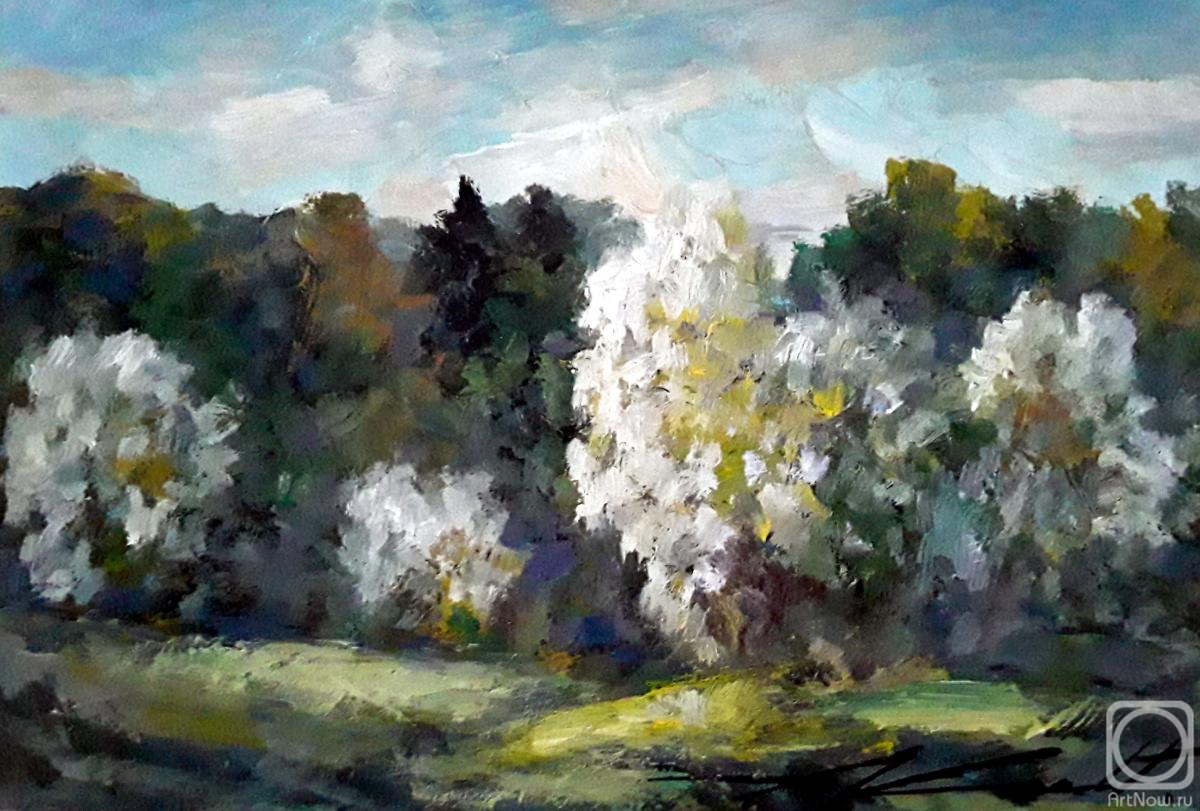 �������. ����� ���������. ����� �������� ���