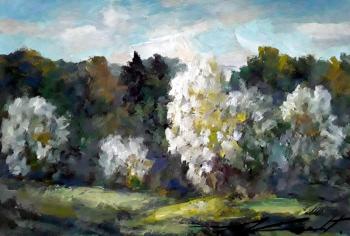 ����� �������� ��� (�������� ���). ����� ���������