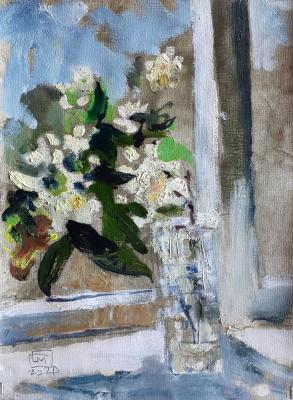 ����� �������. ������ ������