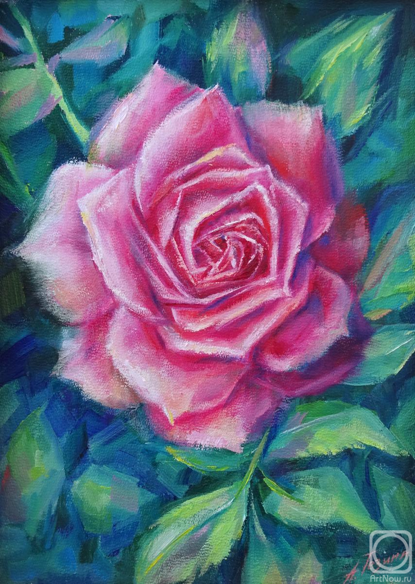 ������� ������ �� ������. ������ ����. ����