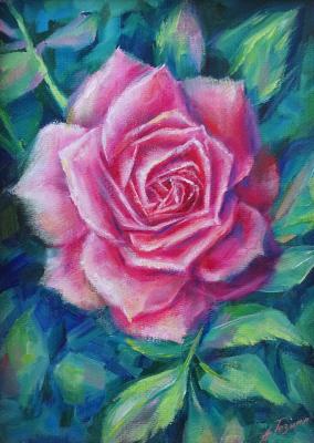 ���� (Bud). ������ ����