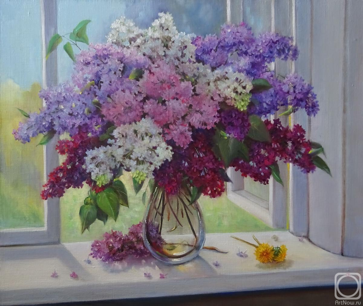 ������� ������ �� ������. �������� ��������. ������ �� ����