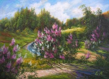 About lilacs. Korableva Elena