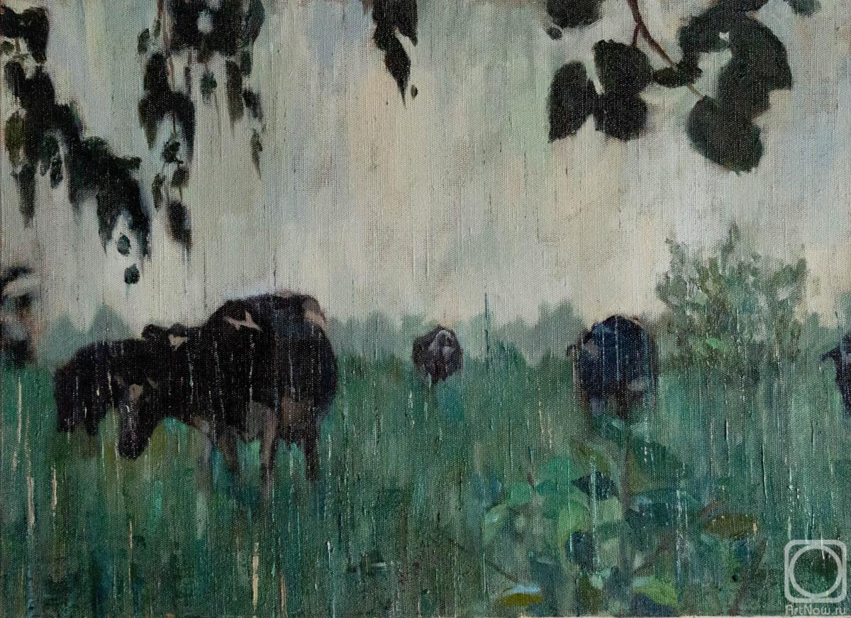 ������� ������ �� ������. �������� ����. ����� �����