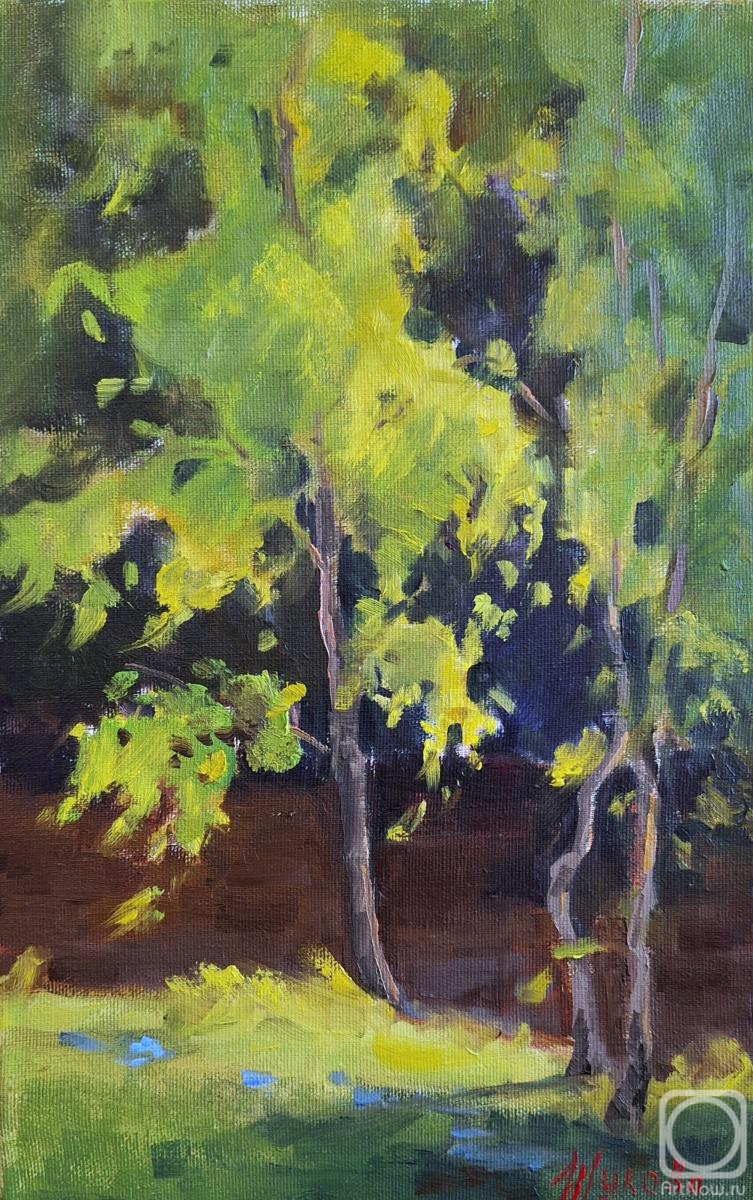 ������� ������ �� ������. ������ ������. �������� �������