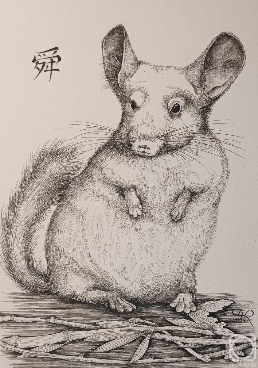 �������. ��������� ������. ���������� ����