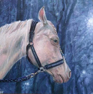 Light in the heart (portrait of a horse)