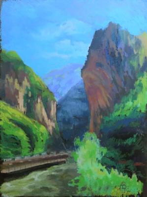 Abkhazia. On the Gega River