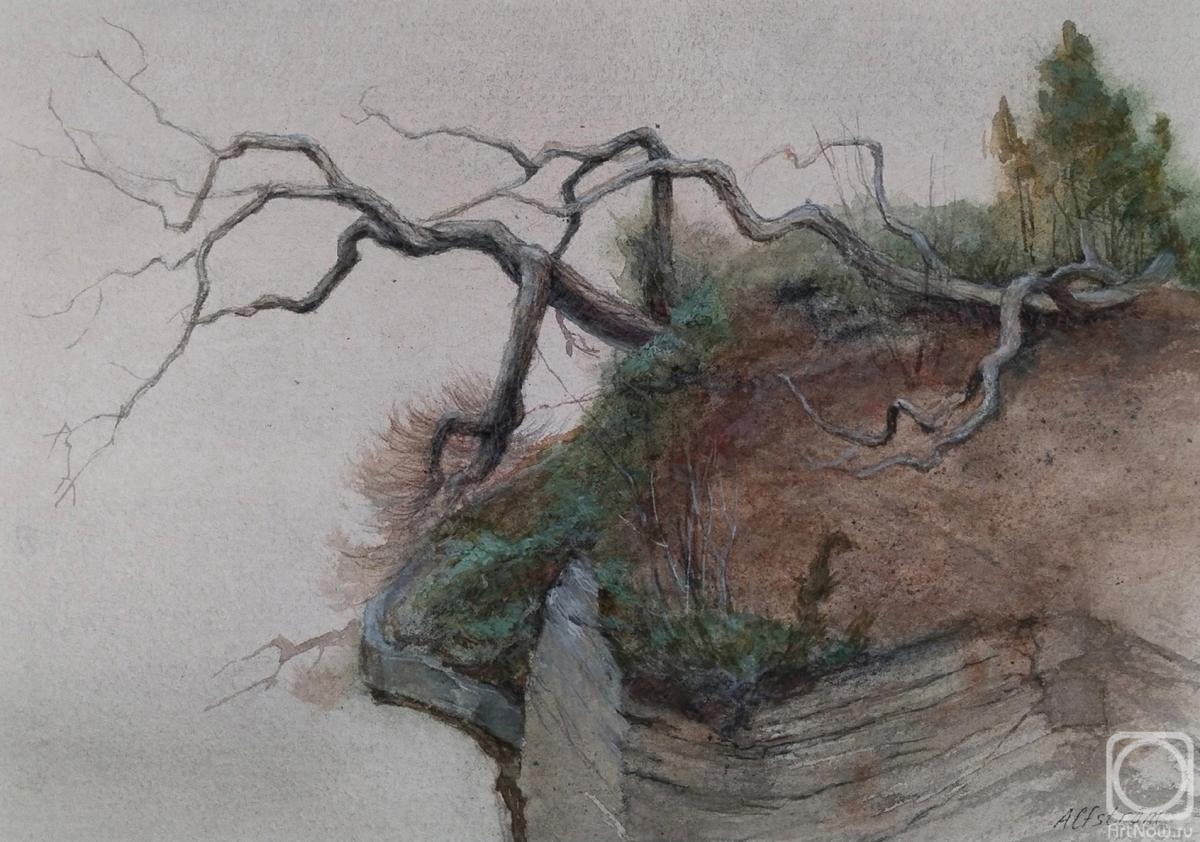 �������. ��������� �����. ��������� �����