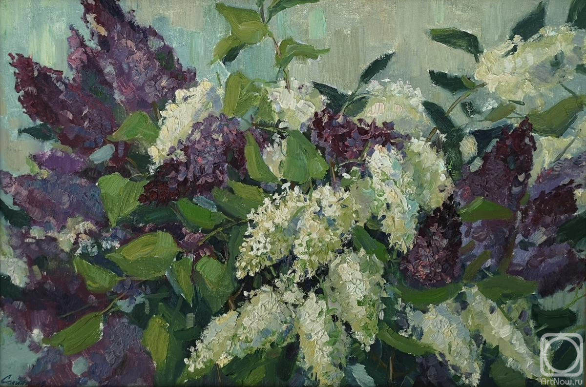 ������� ������ �� ������. ������ �����. ��������� �����