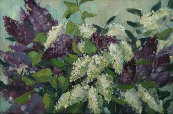 ��������� �����. ������ �����