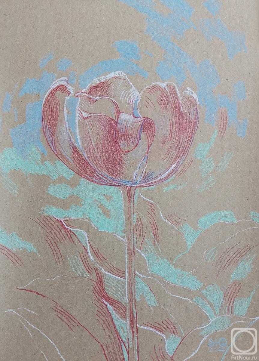 �������. ��������� ����. ������� 6