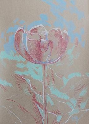 Tulip 6. Zhukovskaya Yuliya