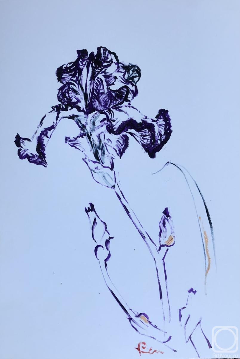 �������. ����� ������. ���������� � ����� ���� ���������