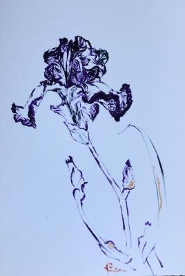 ������� ����������� � ����� ���� ���������