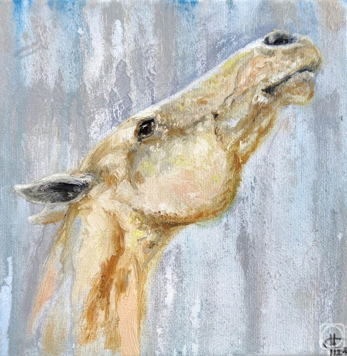 ������� ������ �� ������. ������ �������. �����������. ����� "�������� ���������"