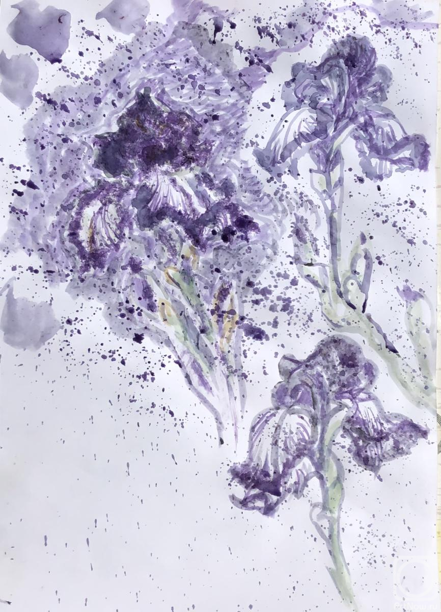 �������. ����� ������. ����� ������ � ����