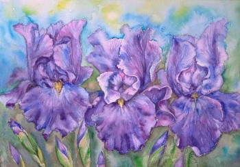 ������� �����. ��������� �������