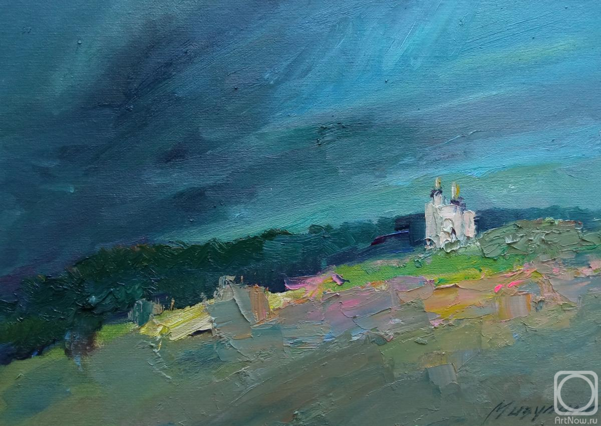 Mizulina Olga. Opposition