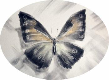 �������. ���� � ������-������� �����